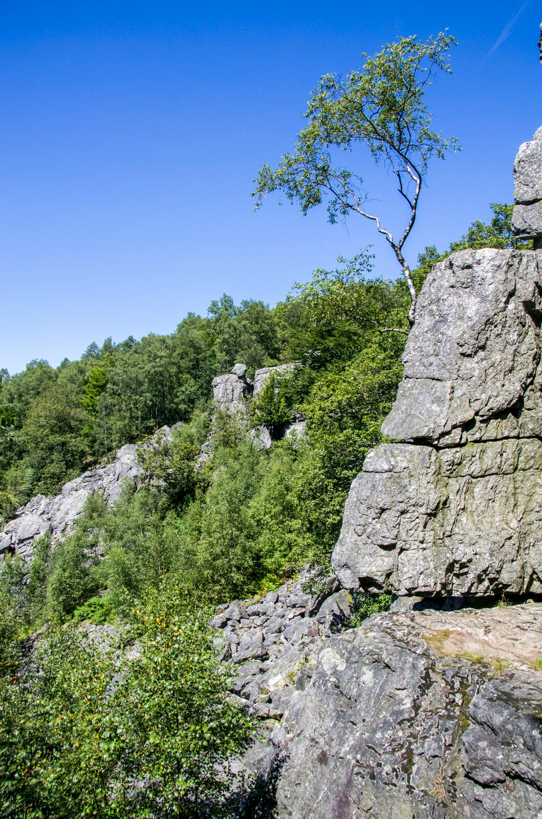 Johan.Barrot_-_Laetis_-_VisitArdenne_Escalade_a_Roc_la_Tour_2394-1600px