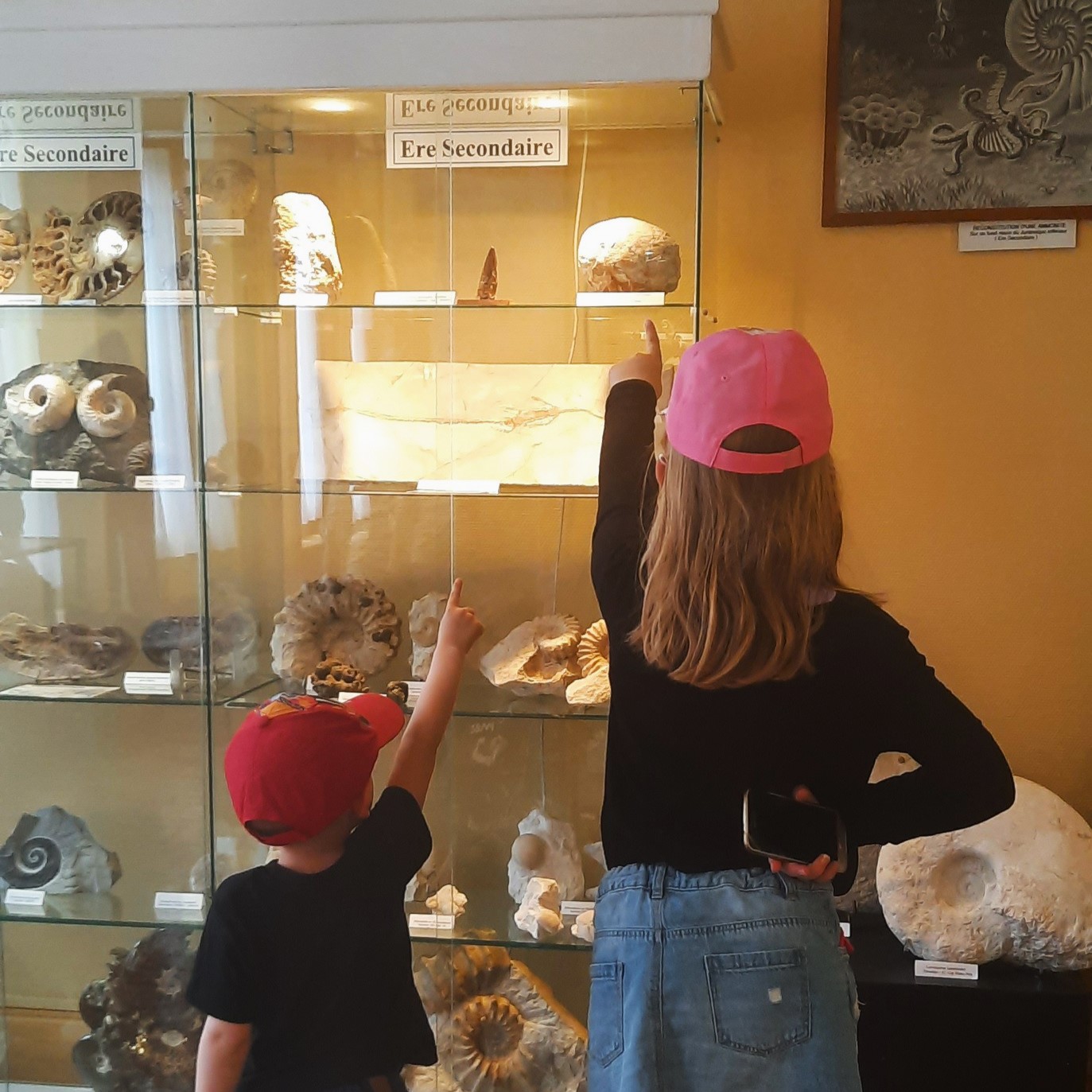 Musee-fossiles