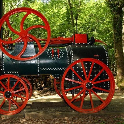 musee-de-la-foret-renwez-05